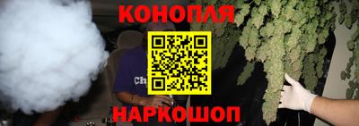 сатива Дубна