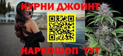 сатива Дубна