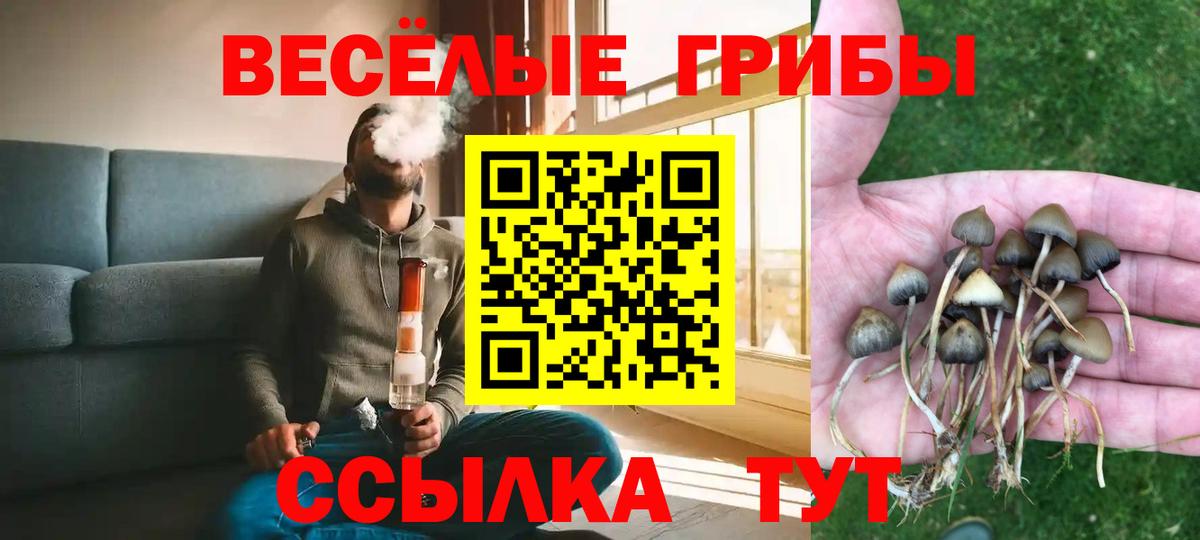 Галлюциногенные грибы Magic Shrooms  даркнет сайт  Знаменск  Вход с VPN 