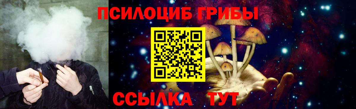 Псилоцибиновые грибы Cubensis Знаменск